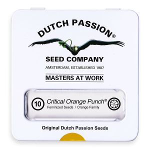 Dutch Passion Critical Orange Punch - Fem - 10er