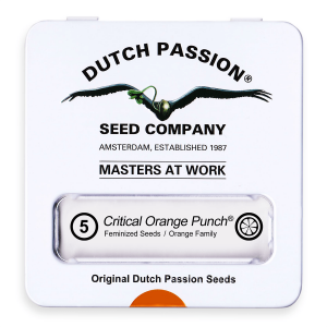 Dutch Passion Critical Orange Punch - Fem - 5er