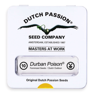 Dutch Passion Durban Poison - Fem - 10er