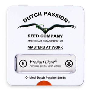 Dutch Passion Frisian Dew - Fem - 5er