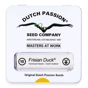 Dutch Passion Frisian Duck - Fem - 10er