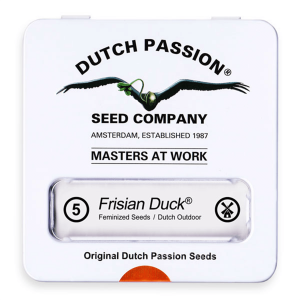 Dutch Passion Frisian Duck - Fem - 5er