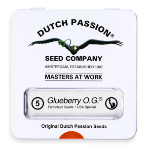 Dutch Passion Glueberry O.G. - Fem - 5er