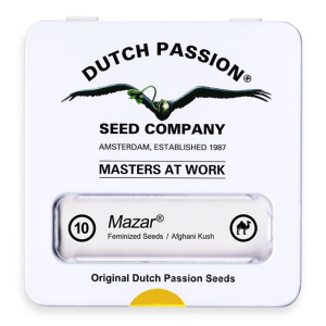 Dutch Passion Mazar - Fem - 10er