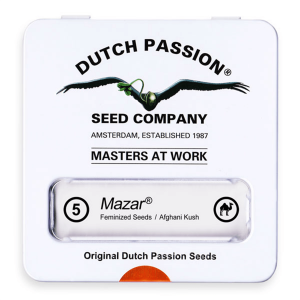 Dutch Passion Mazar - Fem - 5er