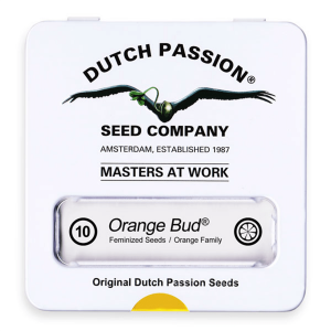 Dutch Passion Orange Bud - Fem - 10er