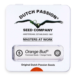 Dutch Passion Orange Bud - Fem - 5er