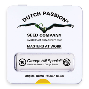 Dutch Passion Orange Hill Special - Fem - 10er