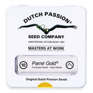 Dutch Passion Pamir Gold - Fem - 10er