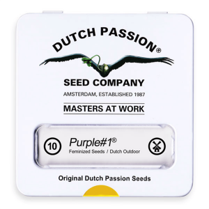 Dutch Passion Purple # 1 - Fem - 10er