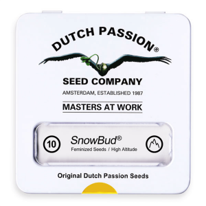 Dutch Passion Snow Bud - Fem - 10er