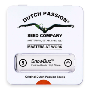 Dutch Passion Snow Bud - Fem - 5er
