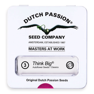 Dutch Passion Think Big - Auto - 3er