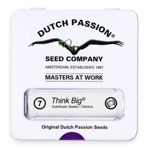 Dutch Passion Think Big - Auto - 7er