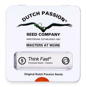 Dutch Passion Think Fast - Fem - 5er