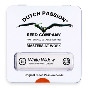 Dutch Passion White Widow - Fem - 5er