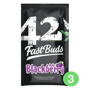 Fast Buds Blackberry - Auto - 3er