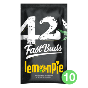 Fast Buds Lemon Pie | Automatik | 10 Samen