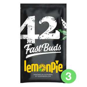 Fast Buds Lemon Pie - Auto - 3er