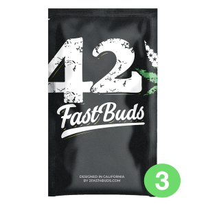 Fast Buds Original Amnesia Haze - Auto - 3er