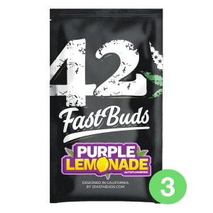 Fast Buds Purple Lemonade - Auto - 3er