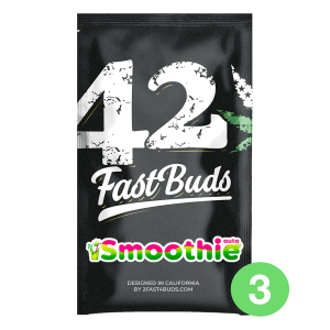 Fast Buds Smoothie Auto - Auto - 3er