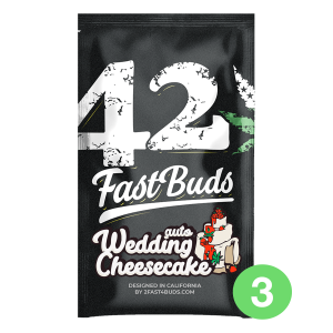Fast Buds Wedding Cheesecake - Auto - 3er