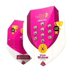 Royal Queen White Widow | Feminisiert | 3 Samen