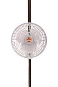 Secret Jardin Monkey Fan 16 Watt &Oslash; 15 cm mit...