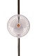 Secret Jardin Monkey Fan 16 Watt Ø 15 cm mit Kugellager